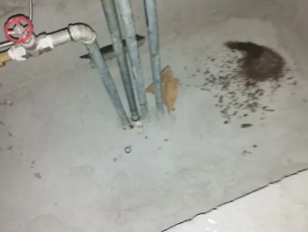 平定卫生间测漏水价格明细